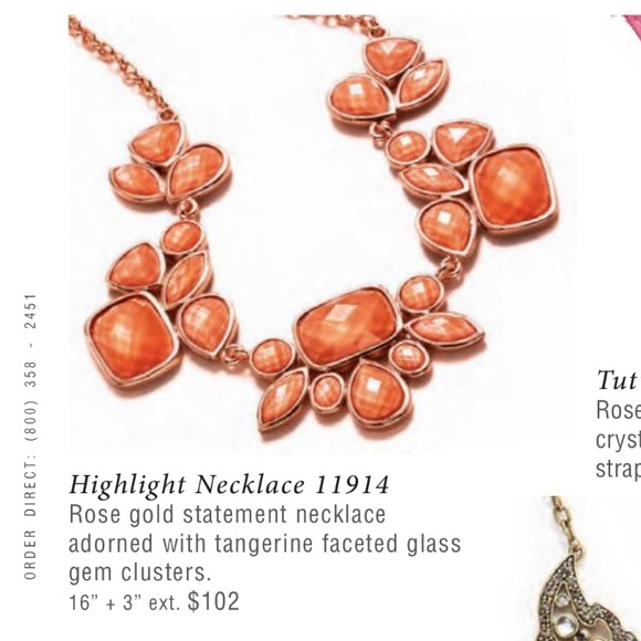 Highlight Park Lane, rose gold Statement Necklace - Picture 2 of 2